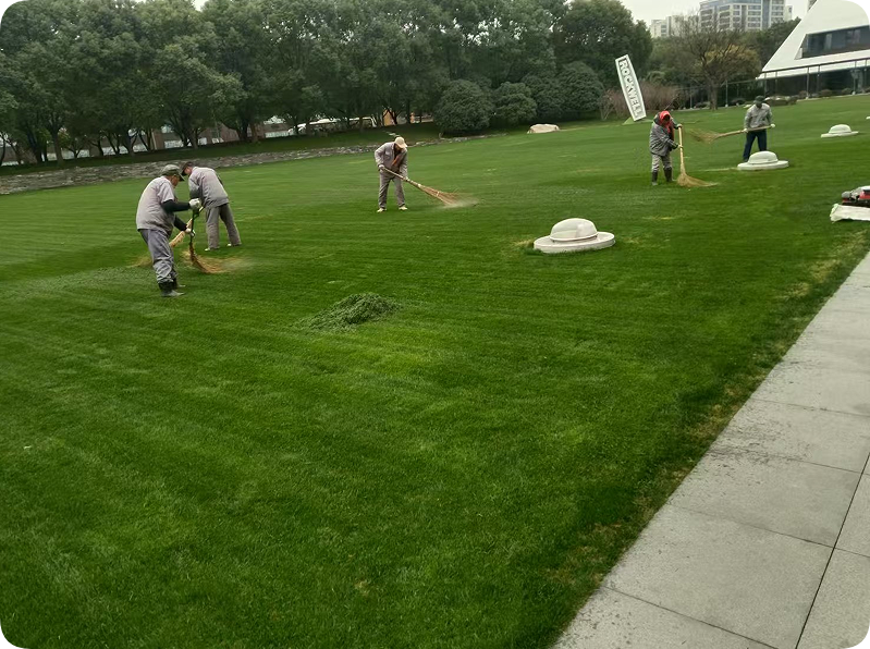 翠玲珑/绿化养护/厂区绿化养护/草坪养护