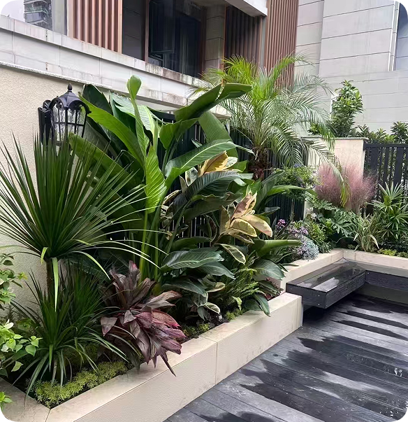 翠玲珑/花园小景/花镜种植