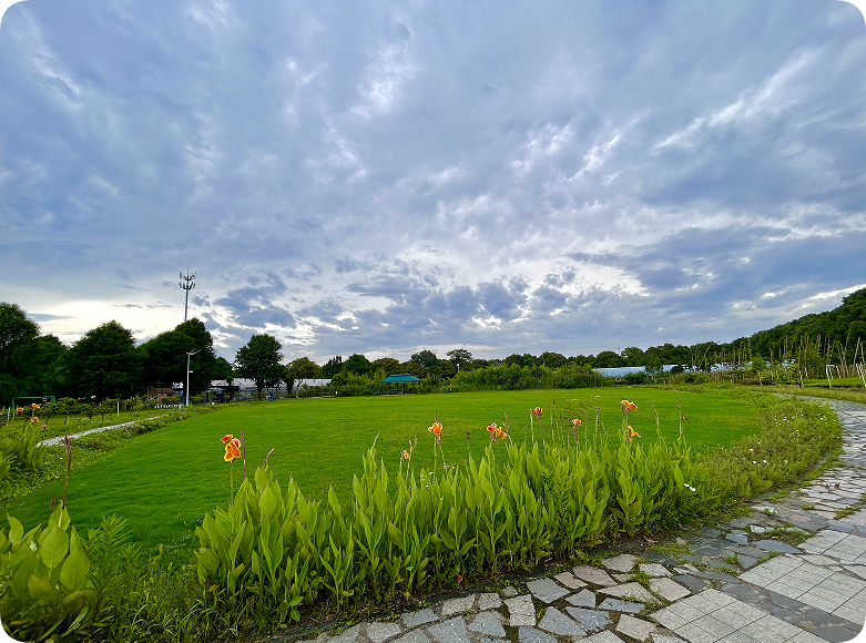 翠玲珑/企业总部