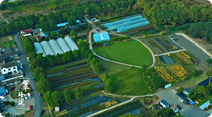 翠玲珑/基地总部/高空俯瞰图