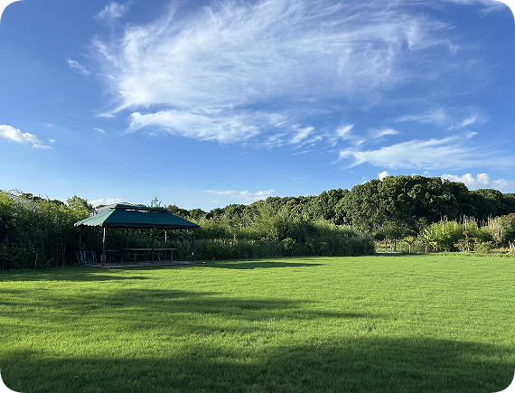 翠玲珑/企业总部/花园基地