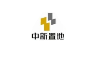 中新置地